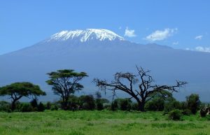 Berge_kilimanjaro_1025146