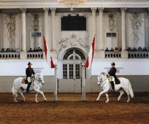 WIEN: 450 Jahre Spanische Hofreitschule
