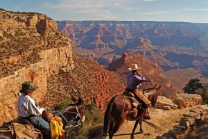 Einmal im Leben den Grand Canyon sehen