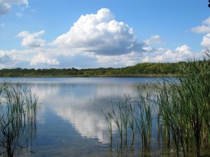 Schweriner See ist „Lebendiger See des Jahres 2015“