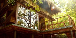 Neu in Sri Lanka: Private Lodges mitten im Dschungel