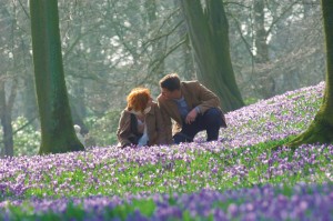 Blütenmeer in Husum - 20 Jahre Krokusblütenfest