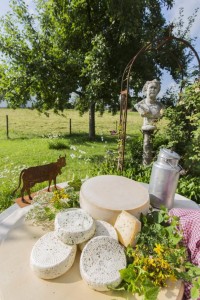 Do-it-yourself-Urlaub: Käse, Naturkosmetik und Wildkräutersalz selbst gemacht