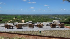 Wein & Oliven: Die Bodega Garzón - ein Tipp der New York Times