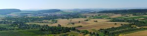 Weinreise: Auf den Spuren der besten Weine Frankens